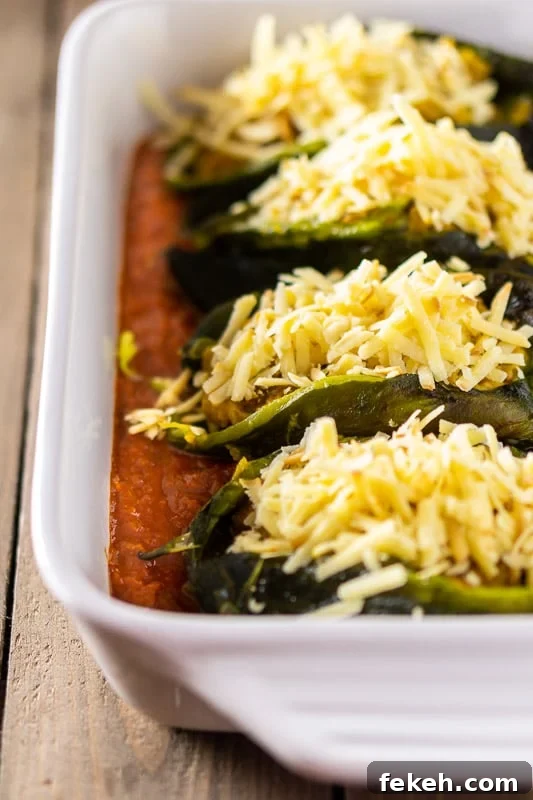 Baked Chorizo and Butternut Squash Chile Rellenos Recipe 7 Pasilla peppers stuffed with chorizo and butternut squash and topped with cheese in a pan with ranchero sauce.