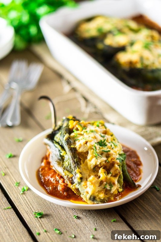 Baked Chorizo and Butternut Squash Chile Rellenos Recipe 9 A single chorizo-butternut squash chile relleno on a plate with ranchero sauce. In the background is the pan, plate, forks and cilantro.