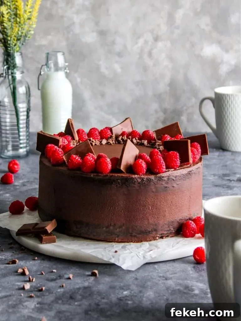 decorated raspberry chocolate cake on serving plate (2)