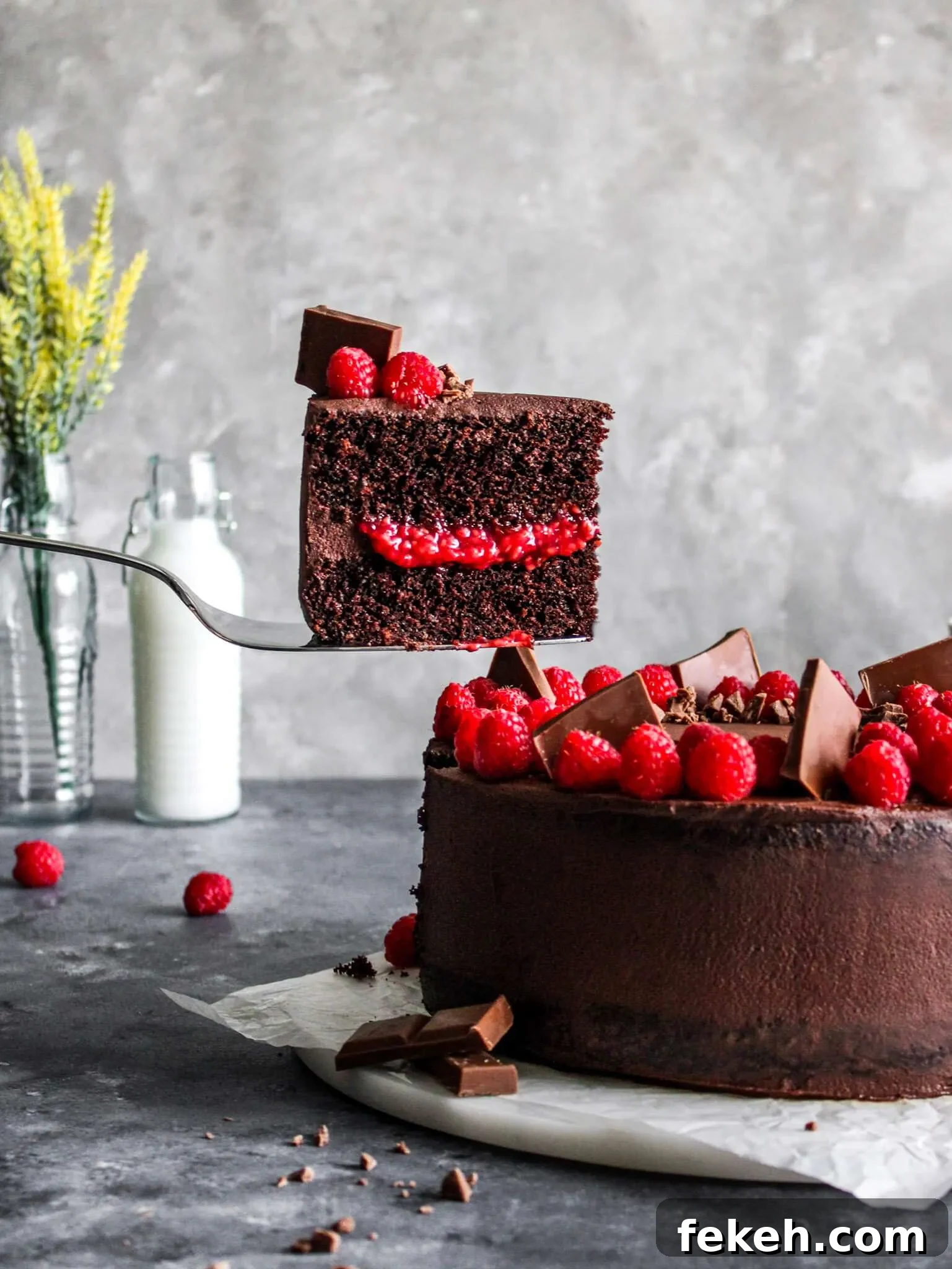 raspberry chocolate cake slice (2)