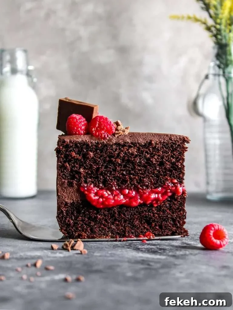 raspberry chocolate cake slice (1)