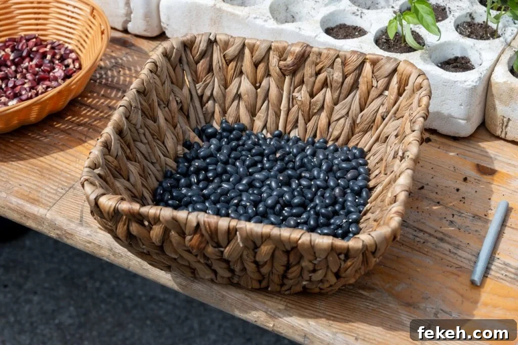Black Beans | Foods