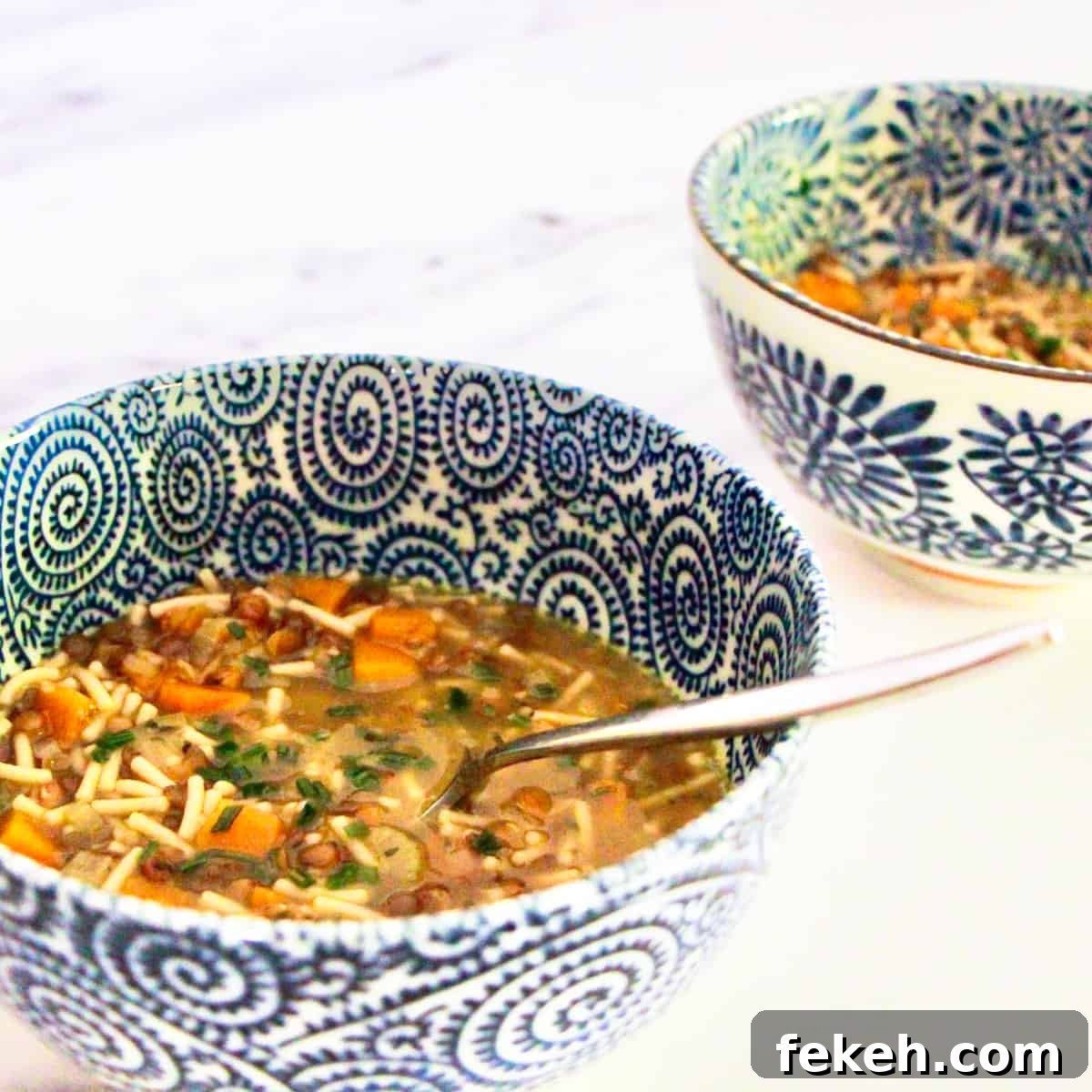Vegan Lentil & Vegetable Noodle Soup