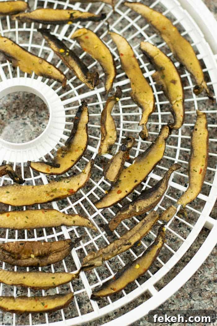 Portobello slices on dehydrator tray
