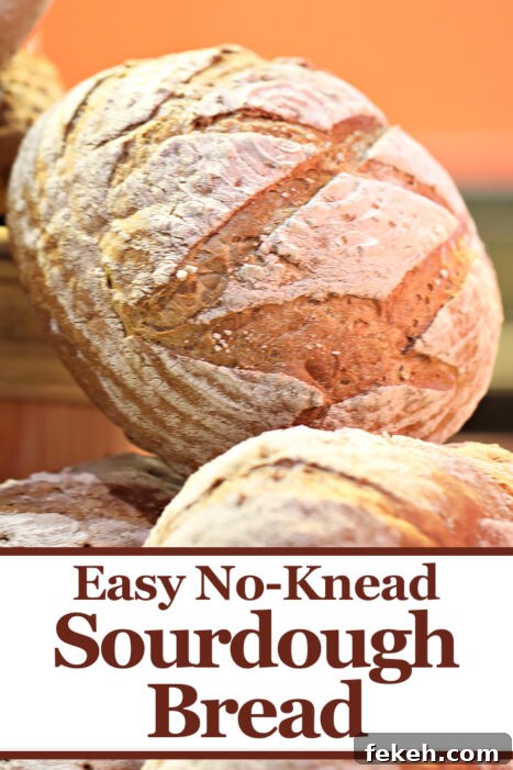 This easy no knead sourdough bread recipe is a great guide to make fresh baked bread at home! Your family will love this easy sourdough bread and if you have never made bread before, this sourdough bread recipe will make you feel like a pro!