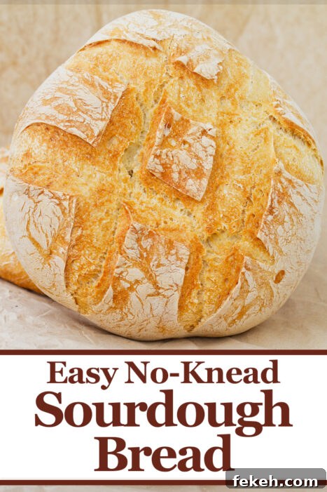 This easy no knead sourdough bread recipe is a great guide to make fresh baked bread at home! Your family will love this easy sourdough bread and if you have never made bread before, this sourdough bread recipe will make you feel like a pro!