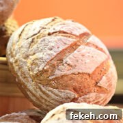 This easy no knead sourdough bread recipe is a great guide to make fresh baked bread at home! Your family will love this easy sourdough bread and if you have never made bread before, this sourdough bread recipe will make you feel like a pro!