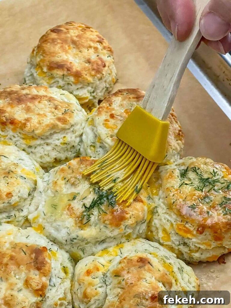 Freshly baked cheddar dill biscuits brushed with garlic dill butter while still warm.