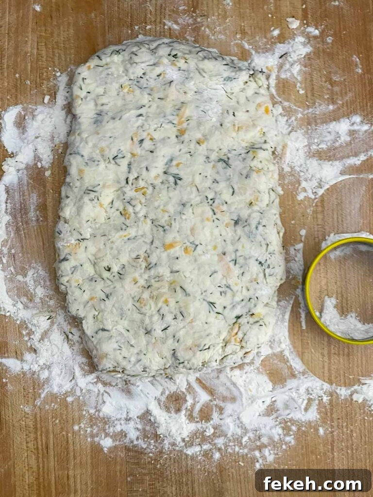 Cheddar dill biscuit dough patted into a rectangle on a well floured board.