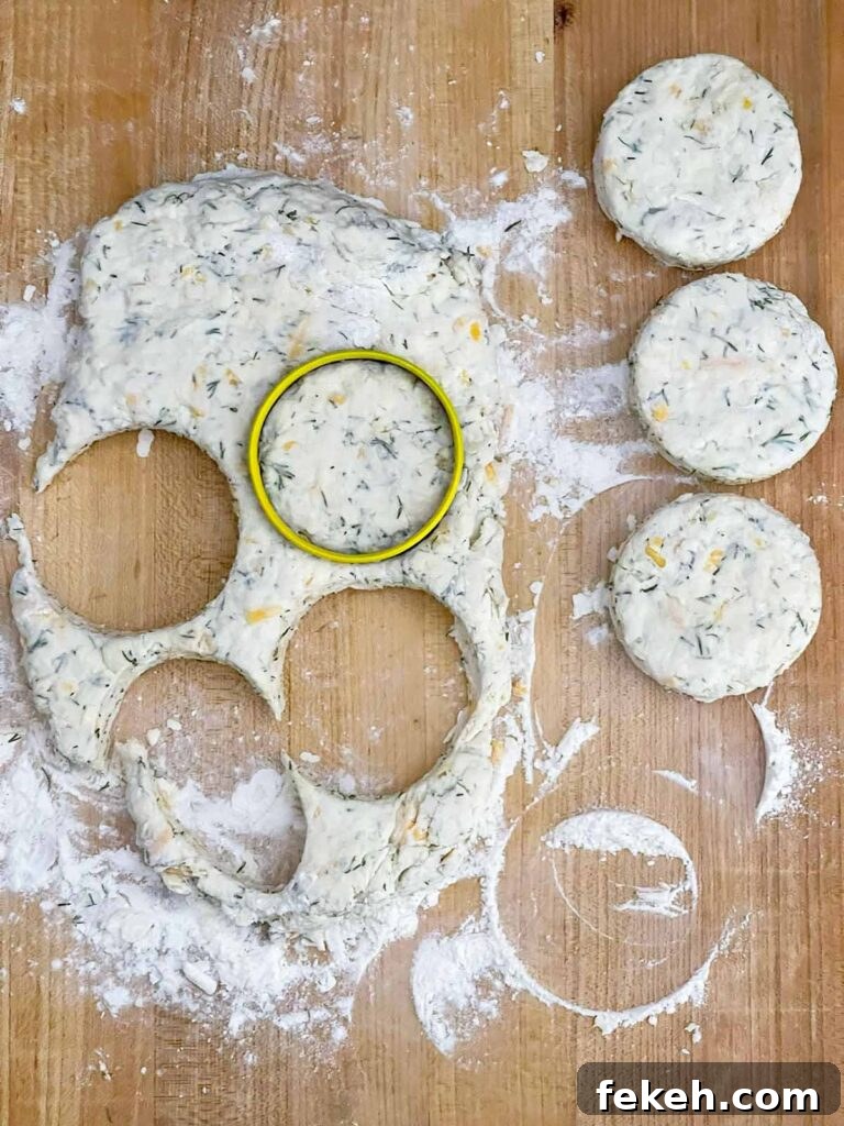Cheddar dill biscuit dough patted into a rectangle and cut with a round biscuit cutter.