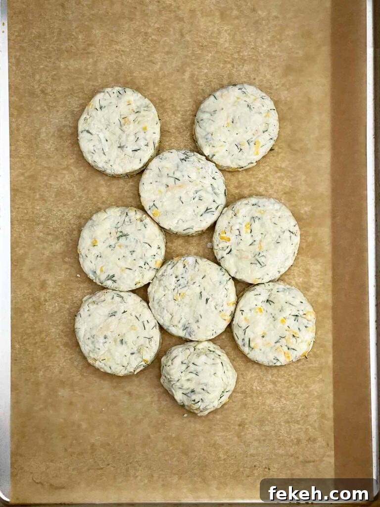 Unbaked cheddar dill biscuits placed touching on a parchment paper lined baking sheet.