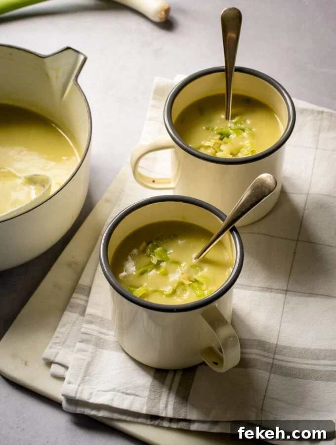 Vegan Leek and Potato Soup