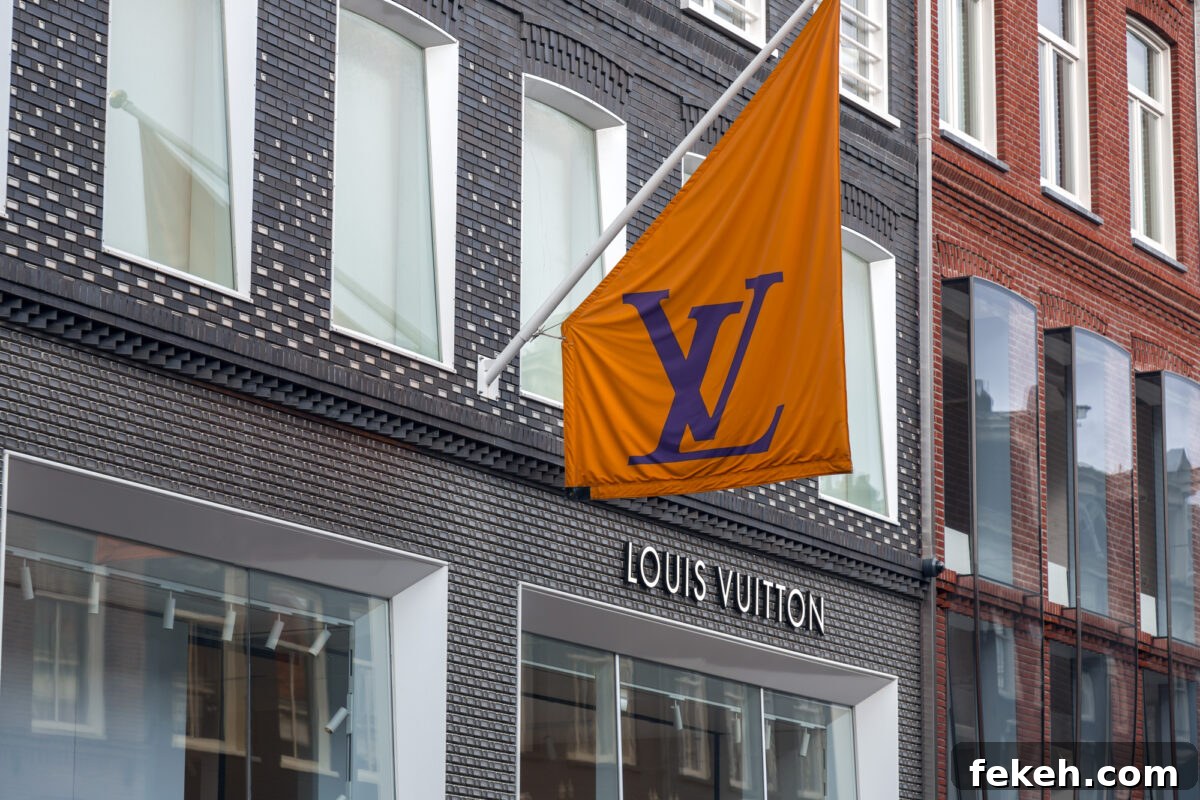 louis vuitton store